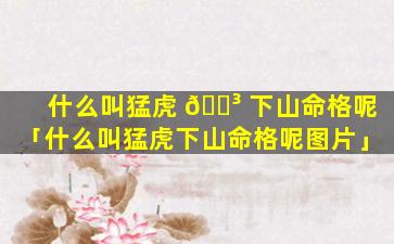 什么叫猛虎 🌳 下山命格呢「什么叫猛虎下山命格呢图片」